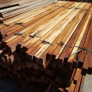 Ripa de Muiracatiara (Maracatiara)